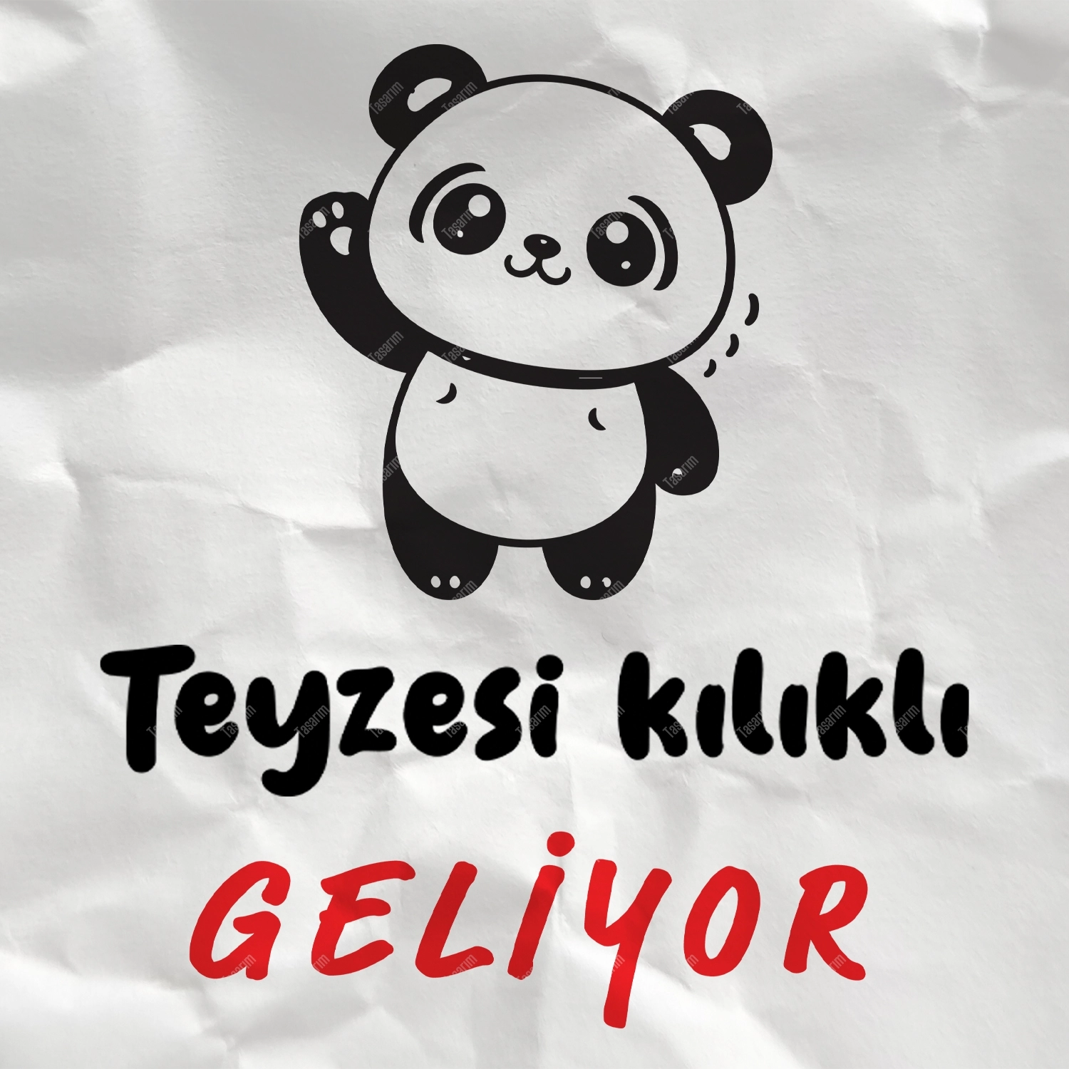 Teyzesi Kılıklı Geliyor - Bebek Body Zıbın