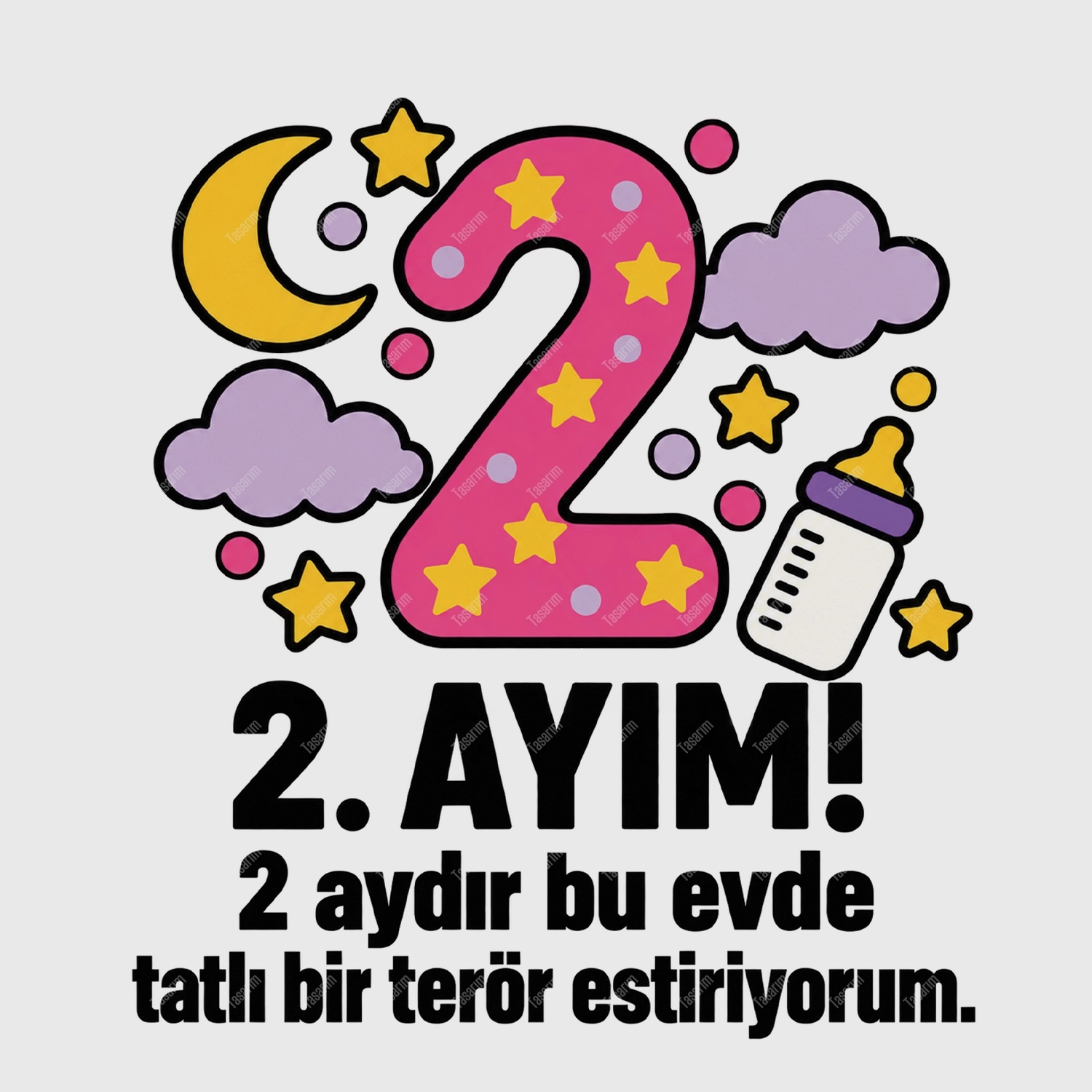 2. Aylık - 2 Aydır Bu Evde Tatlı Bir Terör Estiriyorum - Bebek Body Zıbın