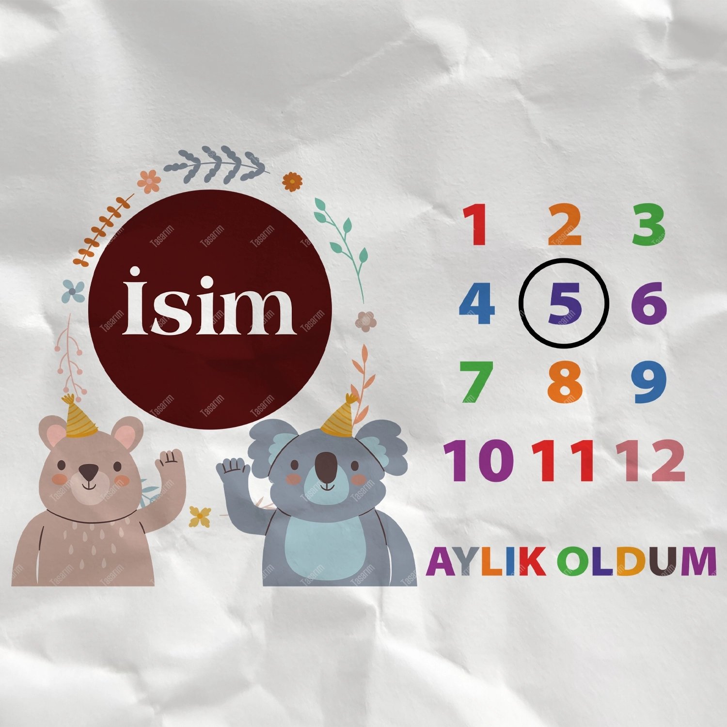 5 Aylık Oldum - Bebek Body Zıbın