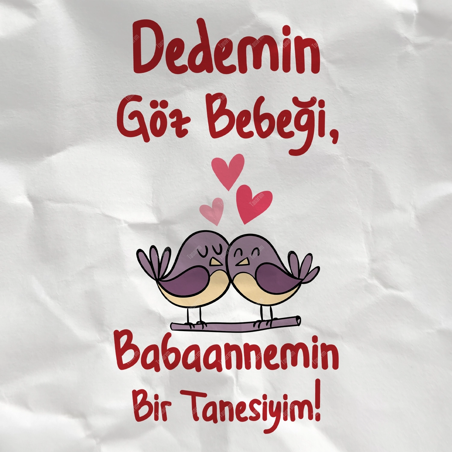 Dedemin Göz Bebeği, Babaannemin Bir Tanesiyim! - Bebek Body Zıbın