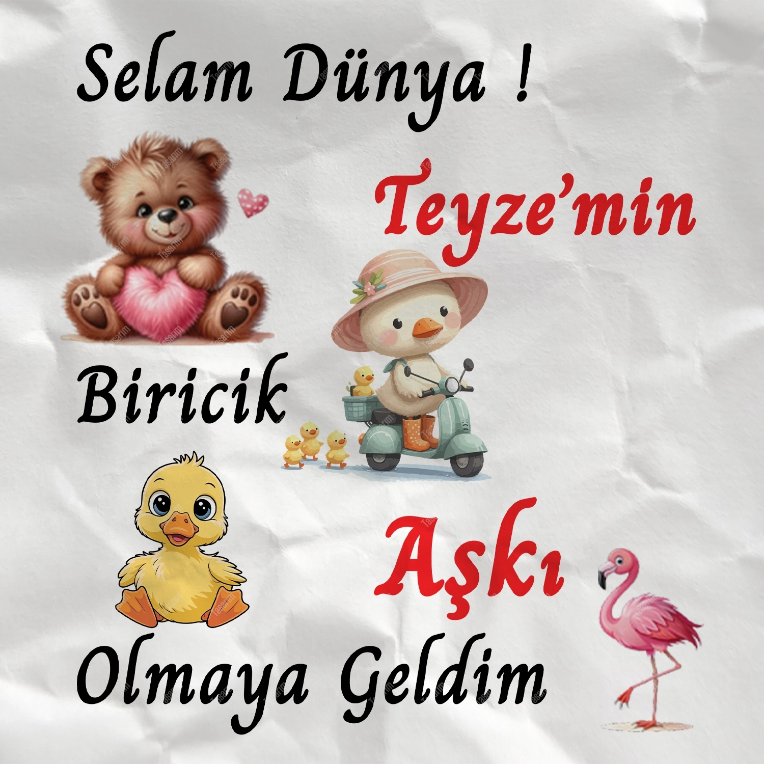 Selam Dünya Teyze’min Biricik Aşkı Olmaya Geldim - Bebek Body Zıbın