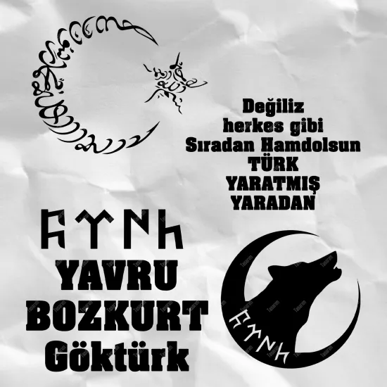 Yavru Bozkurt Göktürk