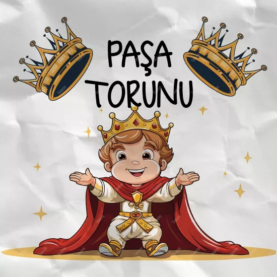 Paşa Torunu