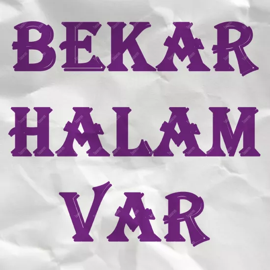 Bekar Halam Var
