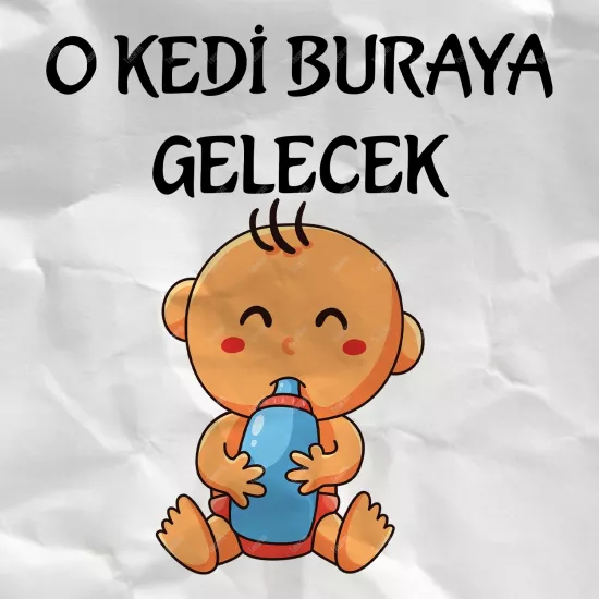 O Kedi Buraya Gelecek